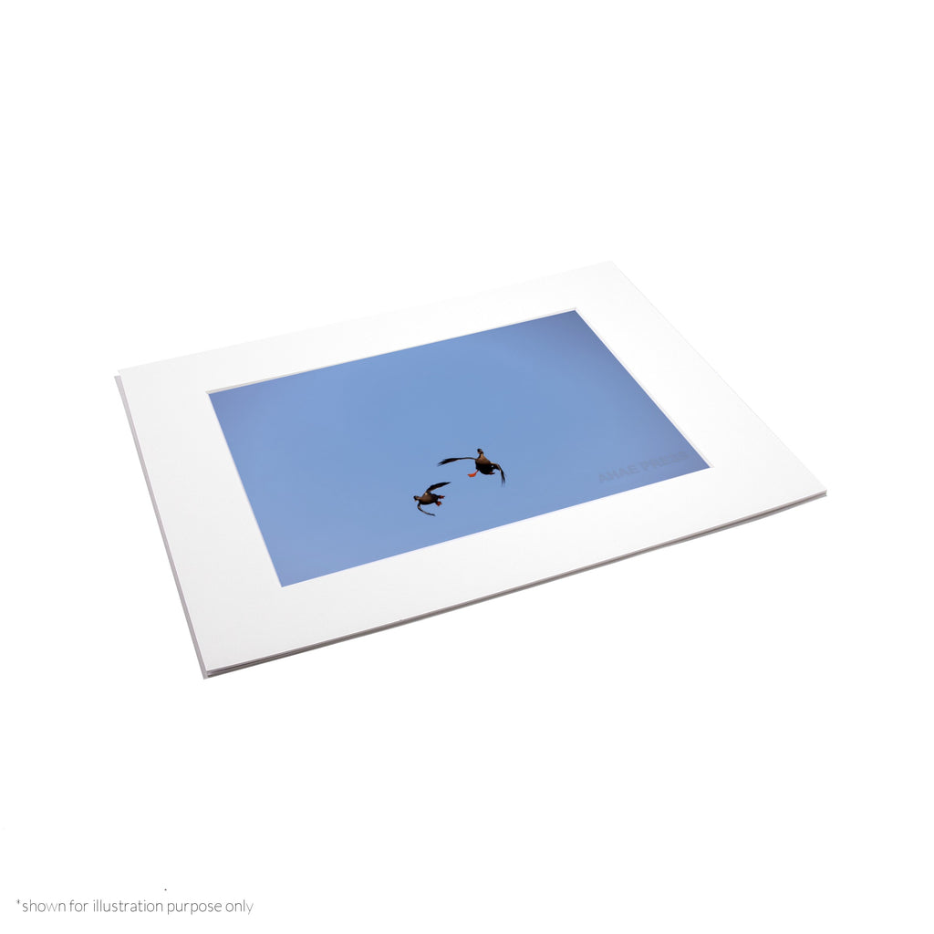 Matte Frame Print