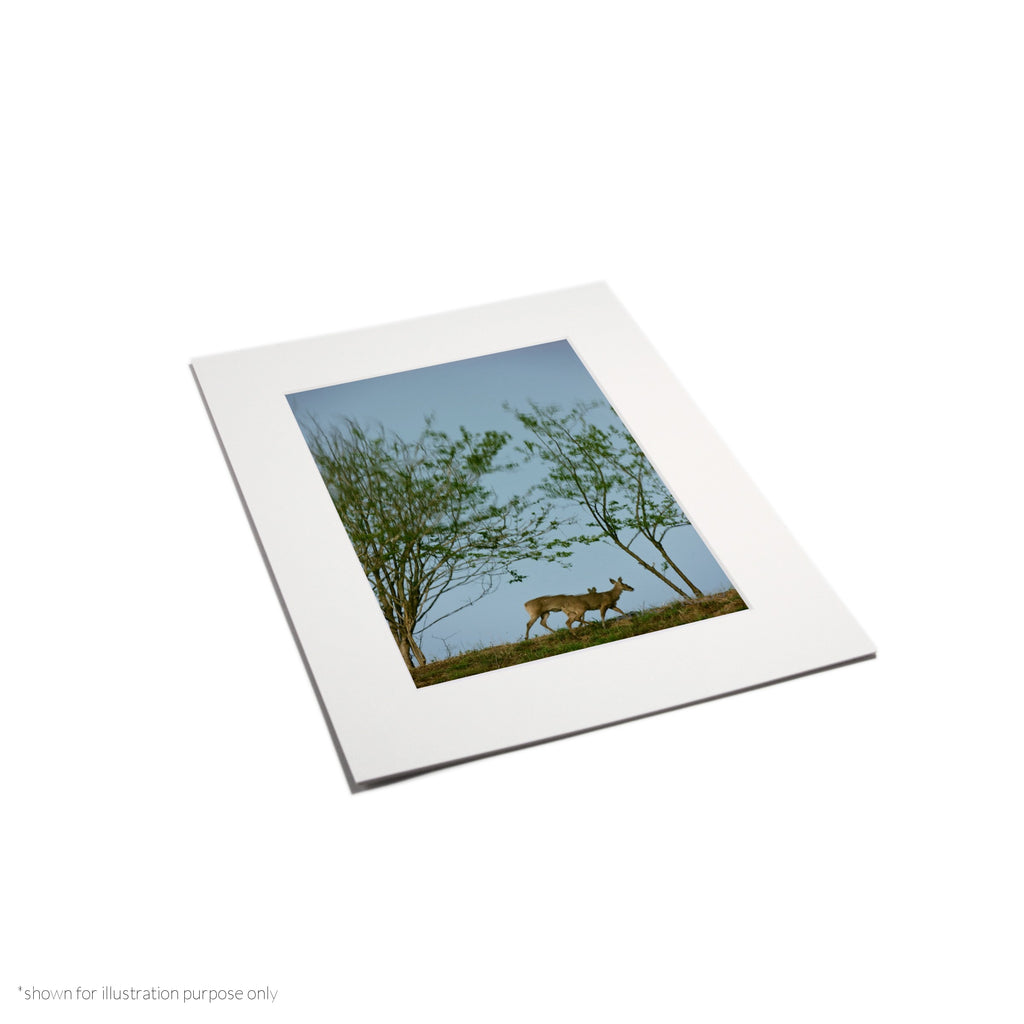Matte Frame Print