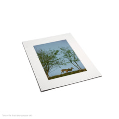 Matte Frame Print