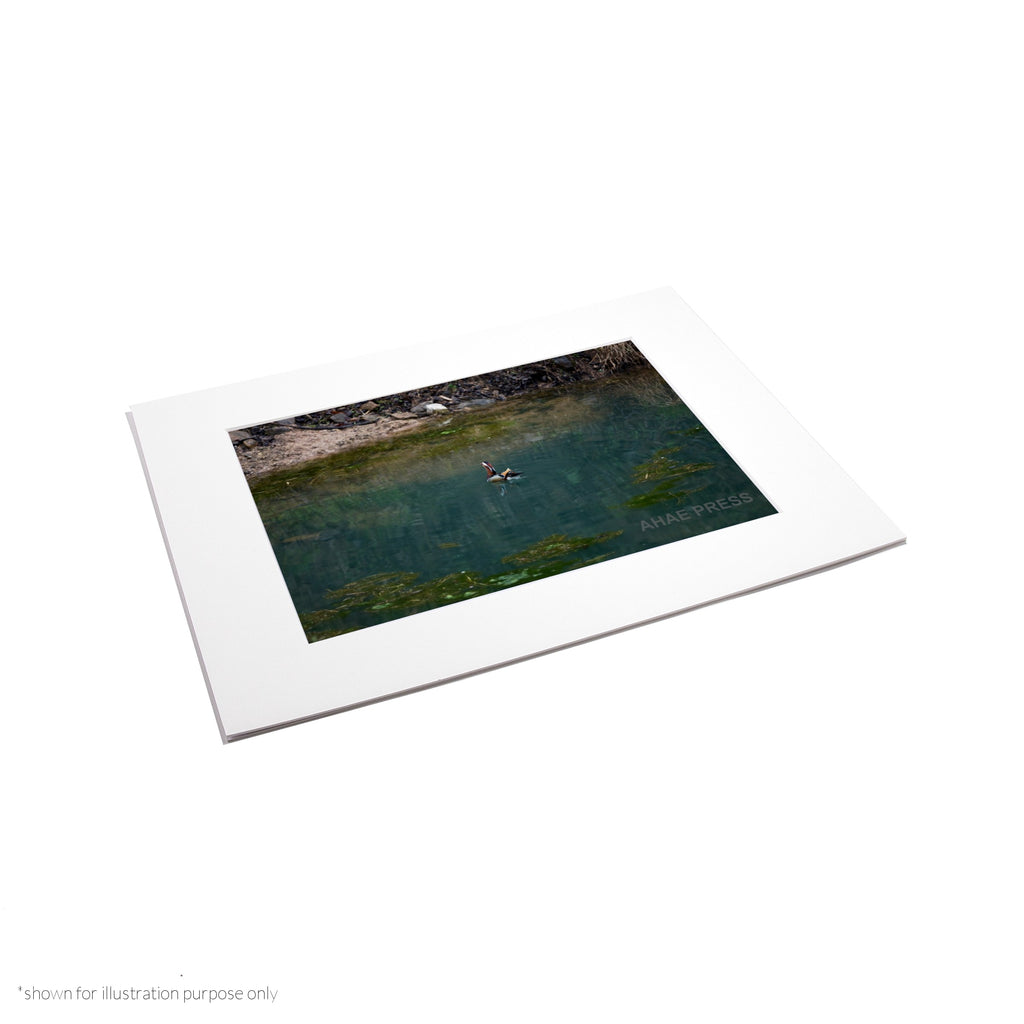 Matte Frame Print