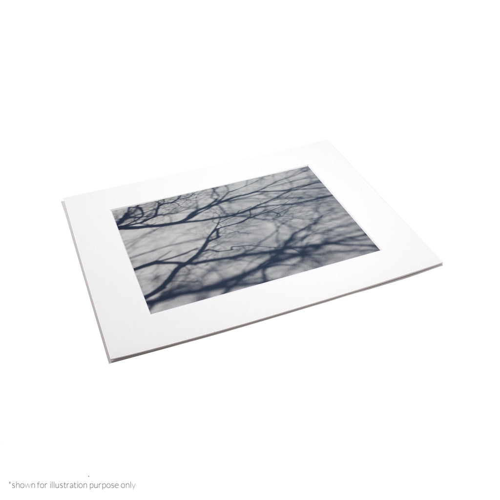 Matte Frame Print