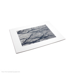 Matte Frame Print