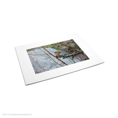 Matte Frame Print