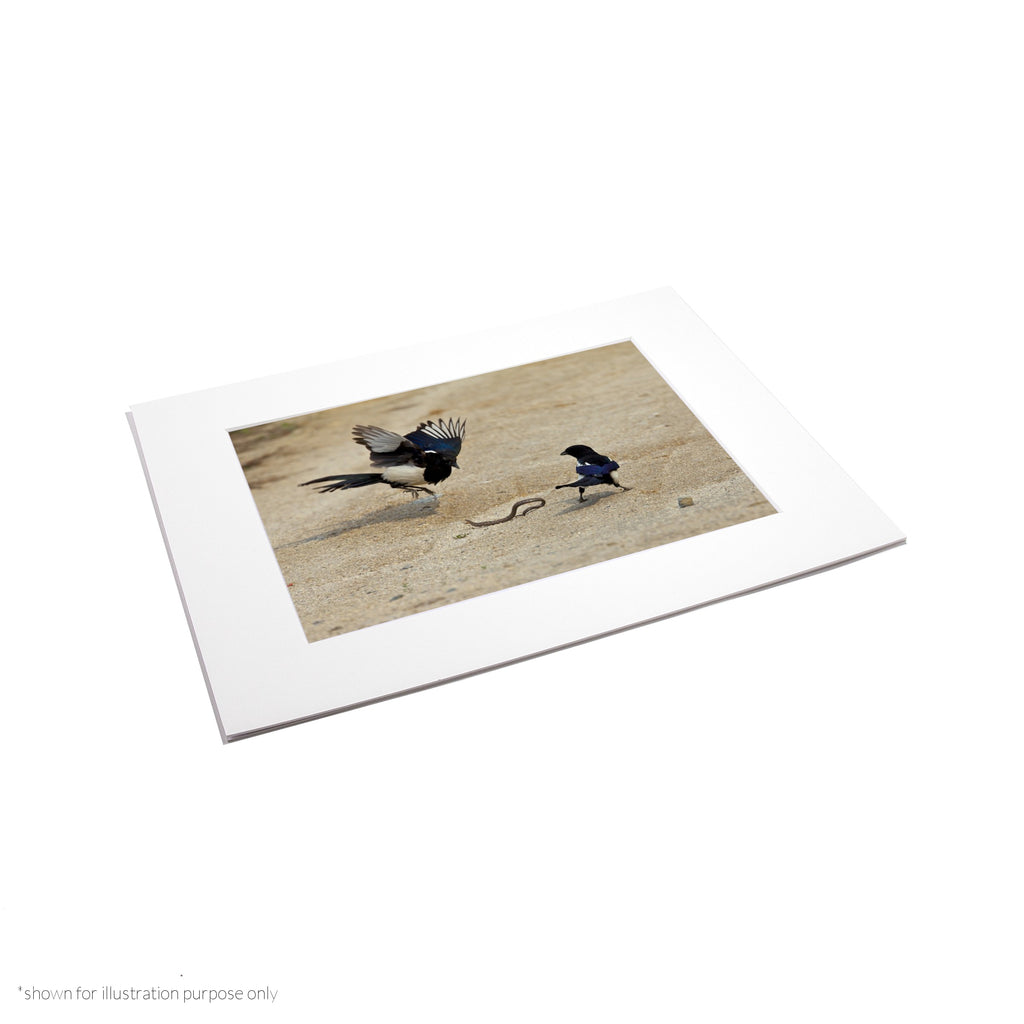 Matte Frame Print