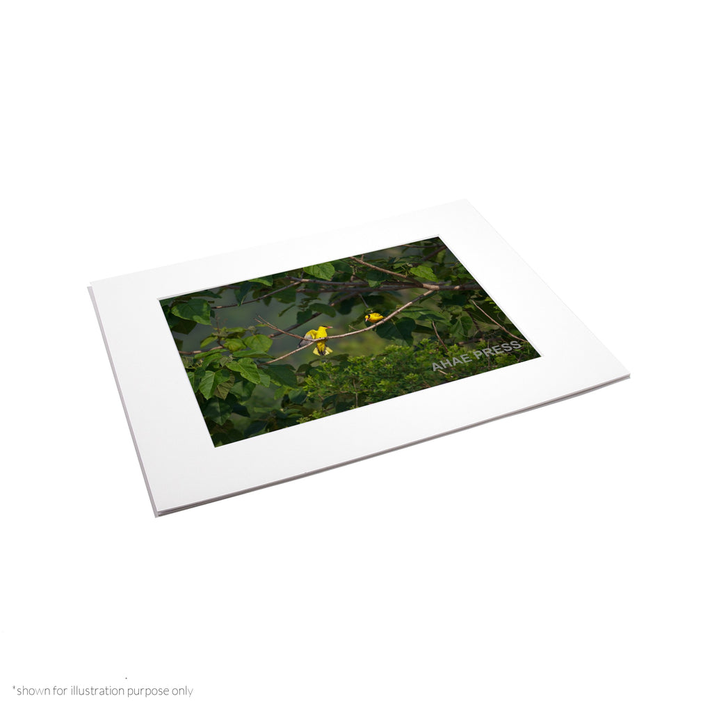 Matte Frame Print