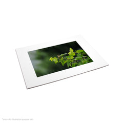 Matte Frame Print