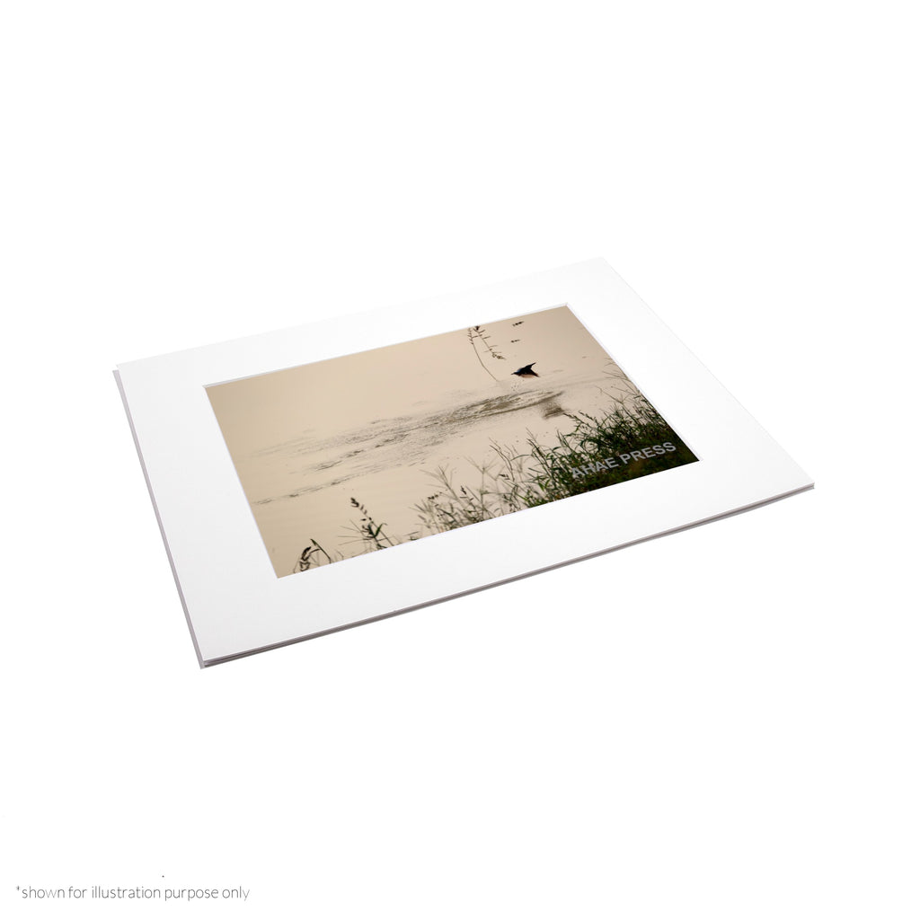 Matte Frame Print