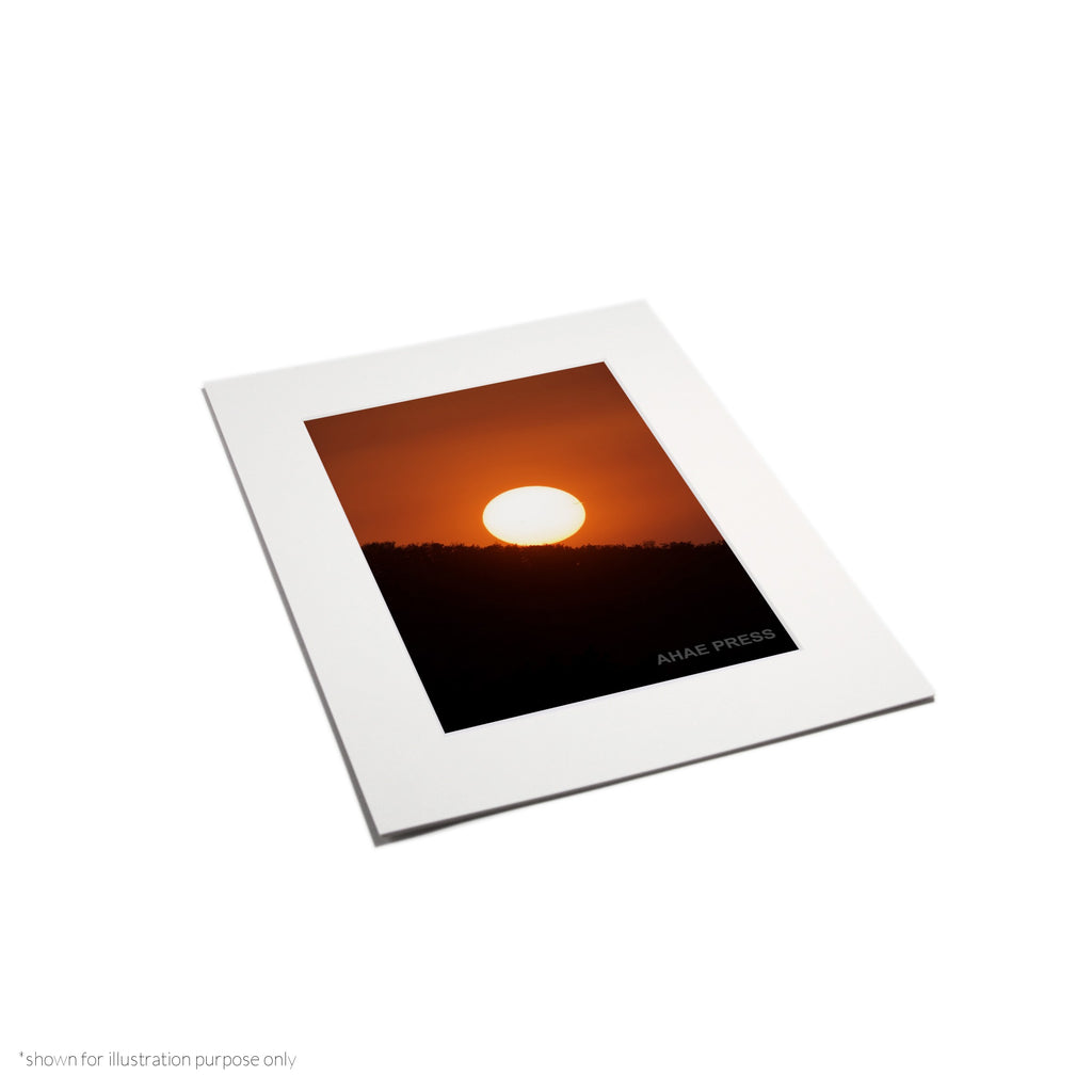 Matte Frame Print