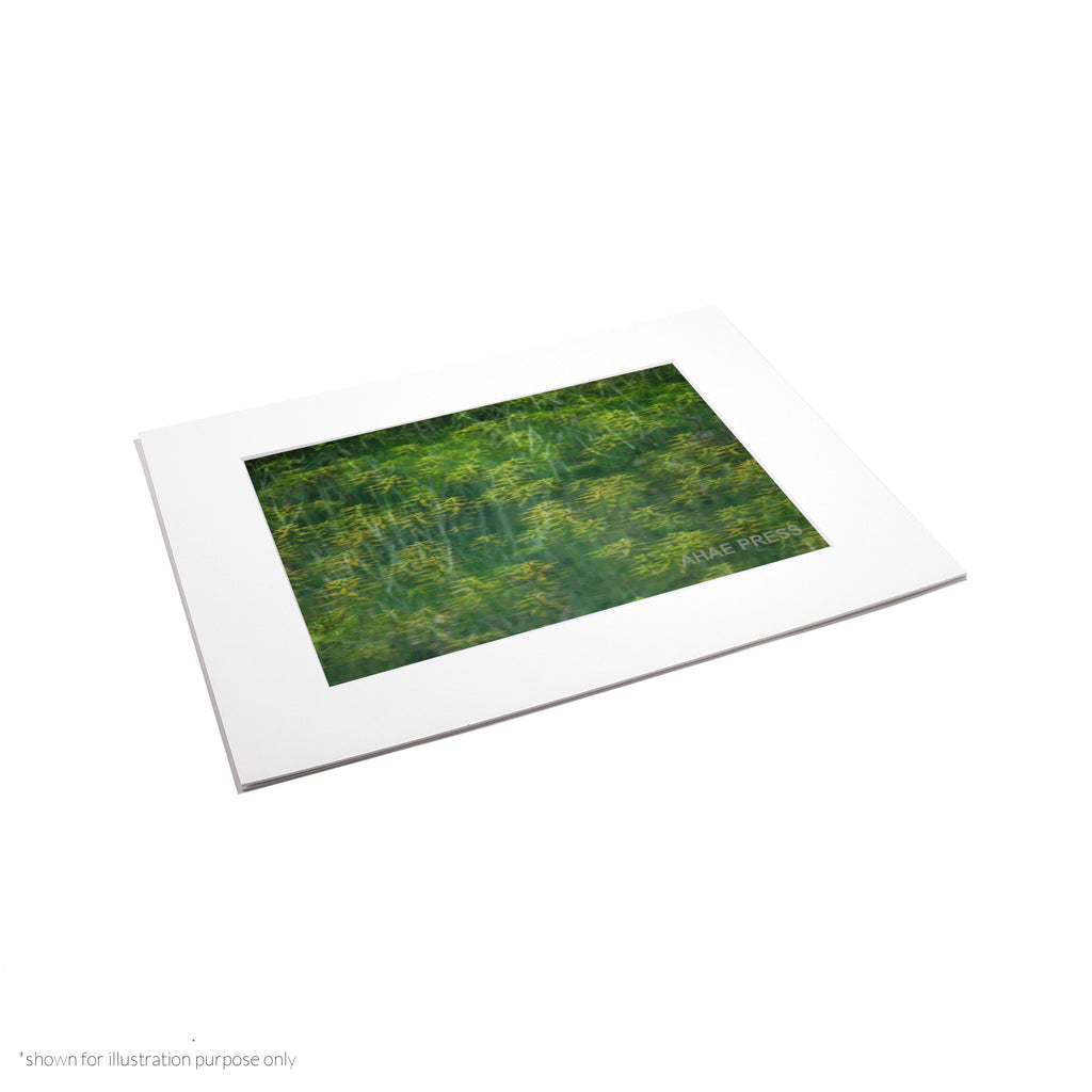 Matte Frame Print