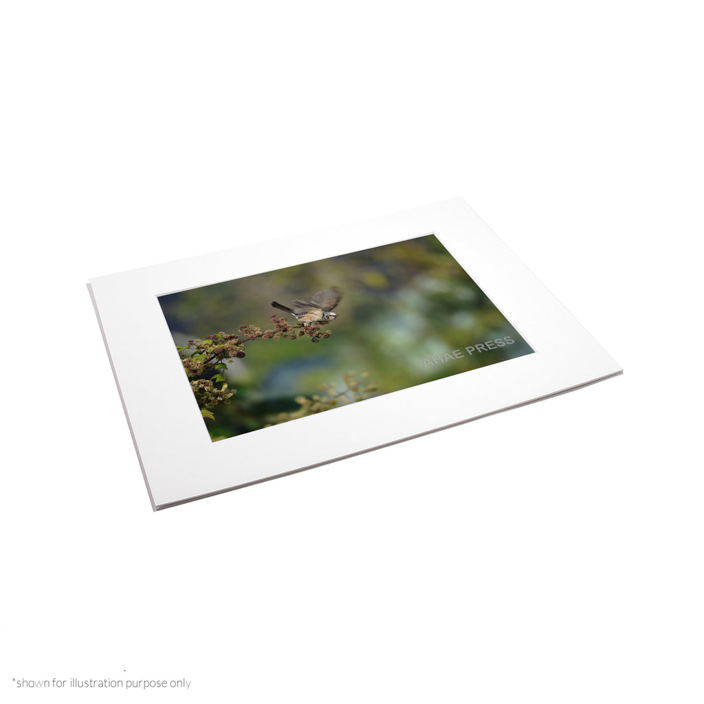 Matte Frame Print