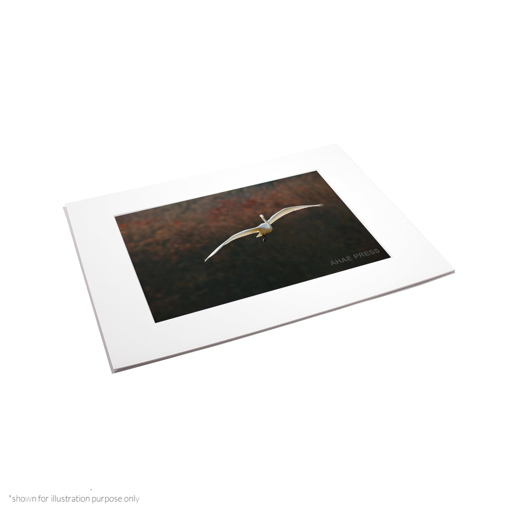 Matte Frame Print