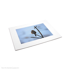 Matte Frame Print