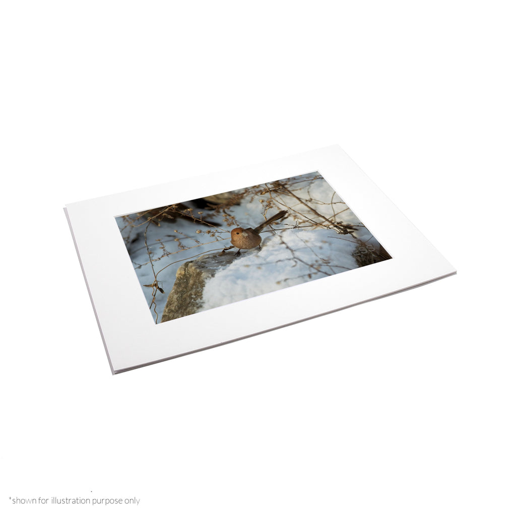 Matte Frame Print