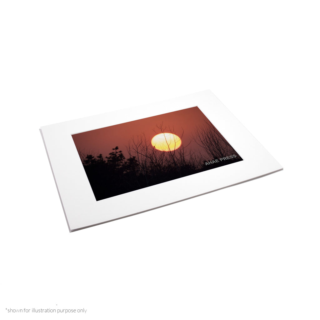Matte Frame Print