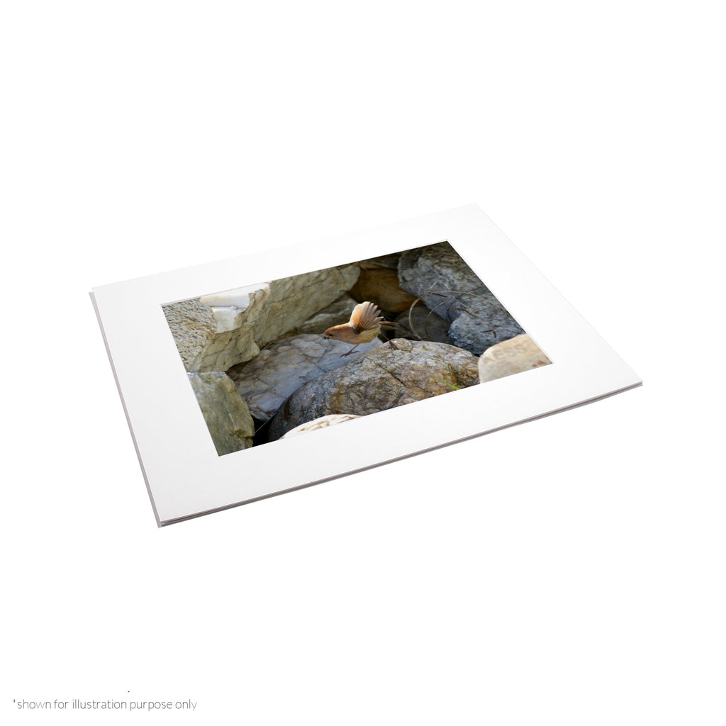 Matte Frame Print
