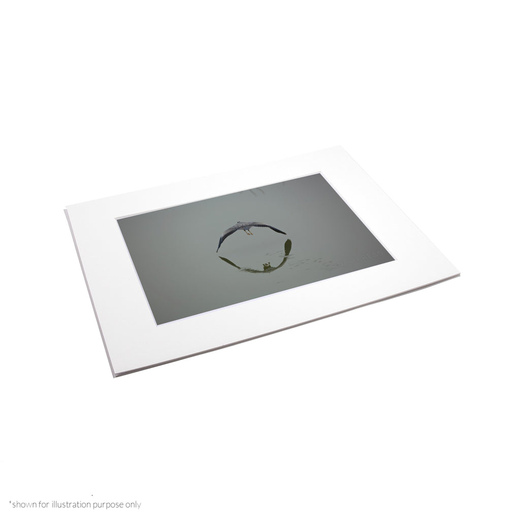 Matte Frame Print
