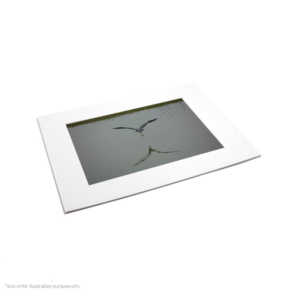 Matte Frame Print