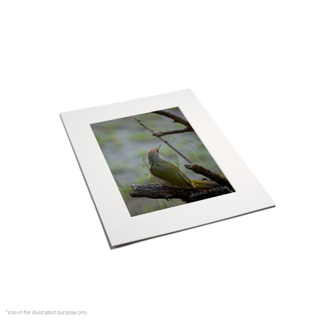 Matte Frame Print