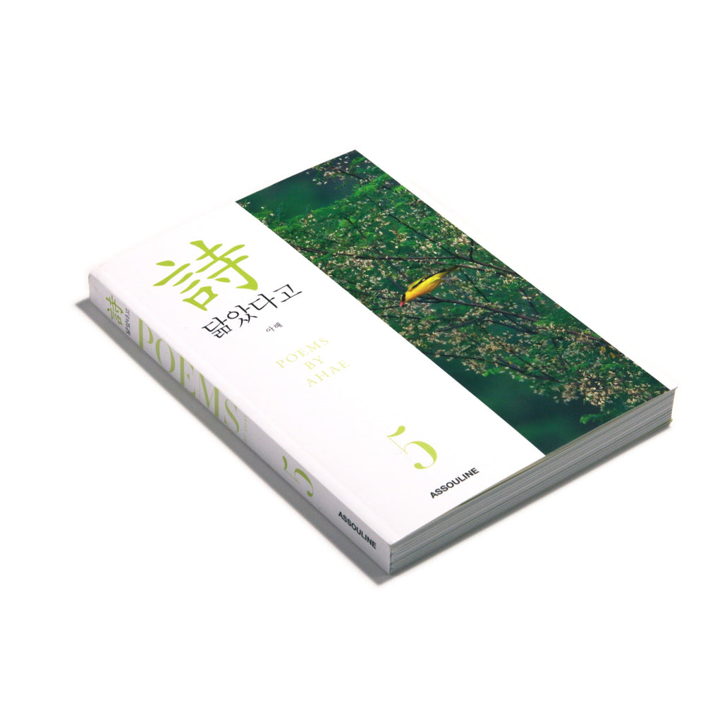 Poems by Ahae