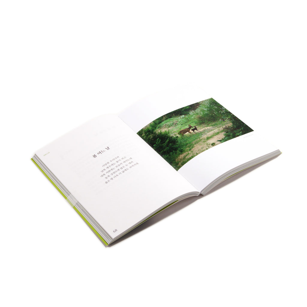 Poems by Ahae