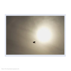 Poster (Medium)