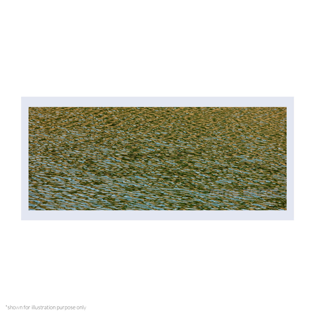 Poster (Panoramic)
