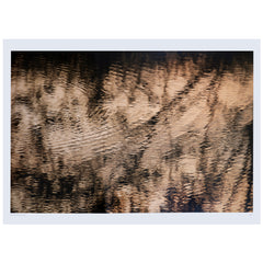 Poster (Large)