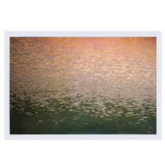 Poster (Large)