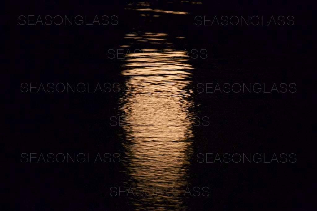 Moonlight on Pond