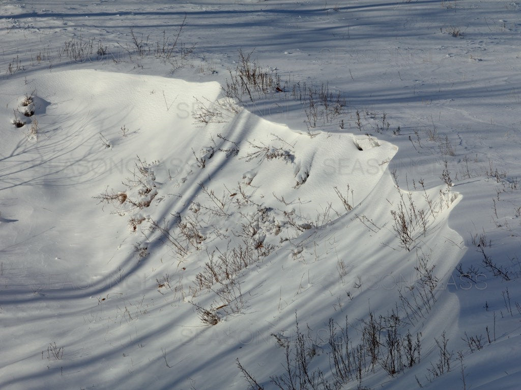 Snowy Mound