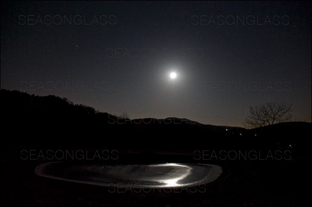 Moonlight on Pond