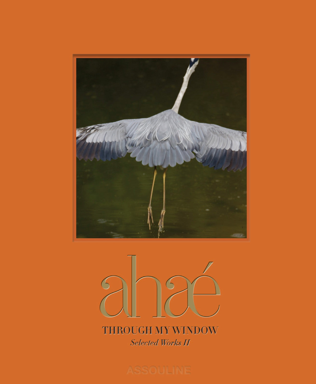 Ahae Through My Window Selected Works II