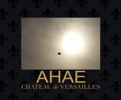 Limited 'Luxury' Edition Château de Versailles (English)